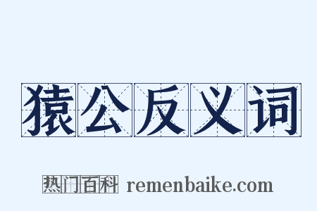 猿公反义词是什么意思的图片